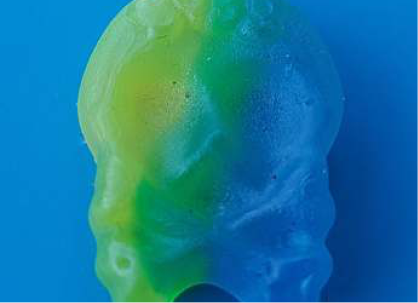 BUBS Vinnarskalle skull